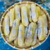 Ốc móng chân